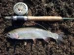 Trout caught at Tiffindell