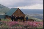 Horse riding at Tiffindell