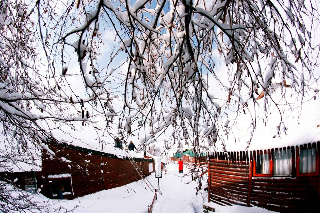 Snow predicted at Tiffindell this weekend! Snow predicted at Tiffindell this weekend!